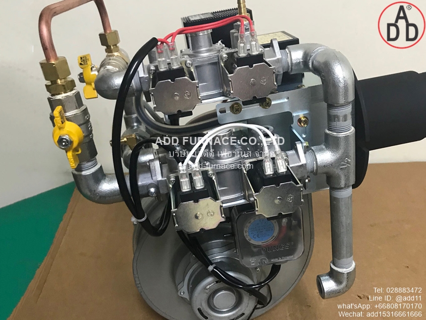 Pilot Burner TS-8N (5)